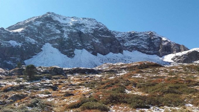 31G101416-3c948229172748d7a0f9ccef38e2f63b