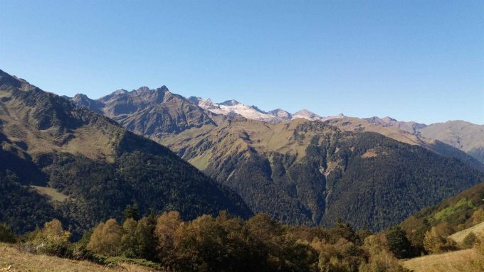 31G101416-de469156b822426487a22db23cb94611