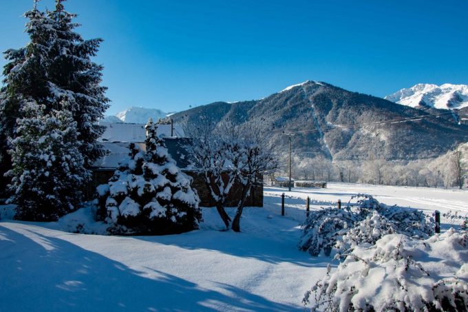 31G101444-19b978b65bd64fef8d1e03d60c9f79d0