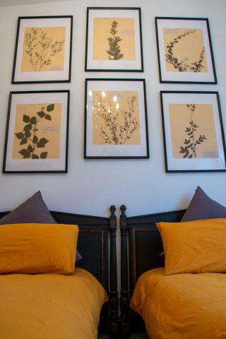 31G101444-3b2fb1f5b287466e867f19ee471273ec