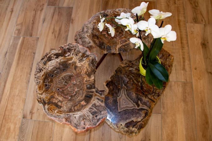 31G101444-6d05a3cd1e7346d1a7f14214ed7d16ec