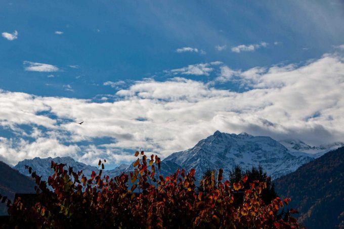 31G101444-72db005671b145a89807cbc8cad1cc35