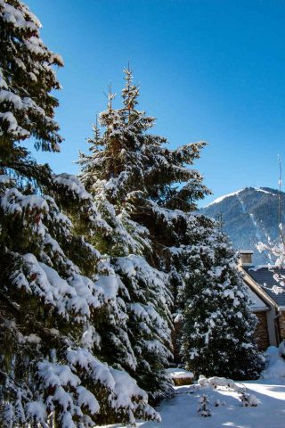 31G101444-7d9bd461353b481b9ea158cb2eaf9a45