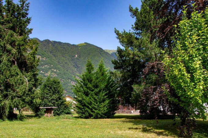 31G101444-933e7d972a75458392719e3660446b4c