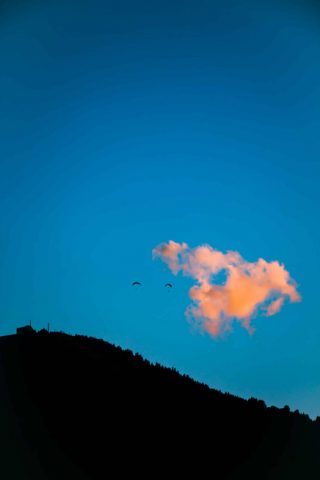 31G101444-ad7def6d6e5e4eb880d2a13ff1faf3df