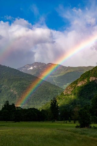 31G101444-d74ce1736d1b4e24b9cb9c1d2dd7d2f8