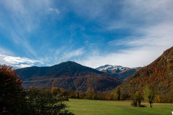 31G101444-dcbae5ddca2749c5b81d0e359f4ed34d