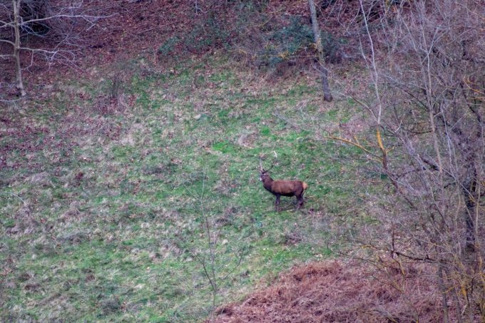 31G101444-e7083b718397447094d7ab596c375d38