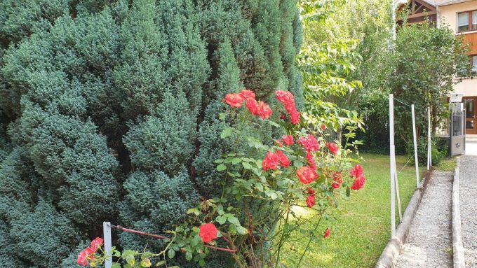 31G101449-530f6282eb7e44e7a221ea4a2b13e5c0