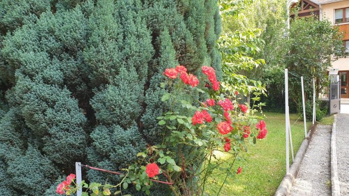 31G101449-611acce731cb4440a35b0b24089645d3