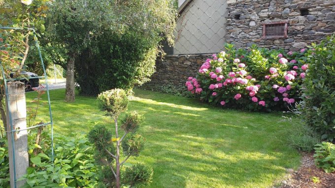 31G101449-de0e277f7fb44ec8985ff3917f0c6d56