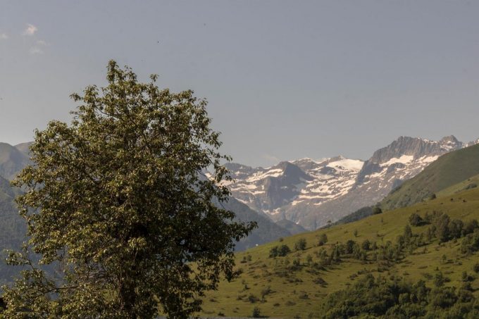 31G101463-31a7fc169a1d4470a81484e56db07c17