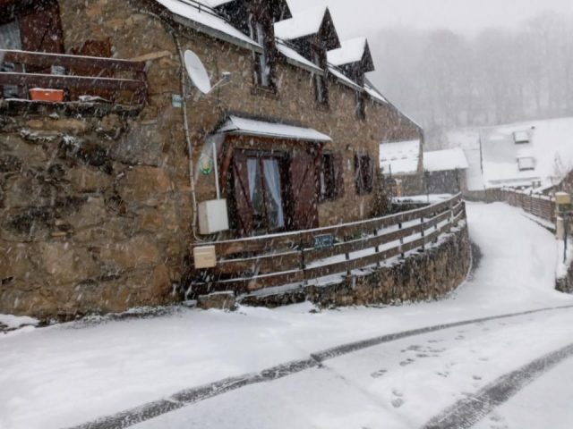 31G101463-e99d4055aef44a8c820c73490fbc064f