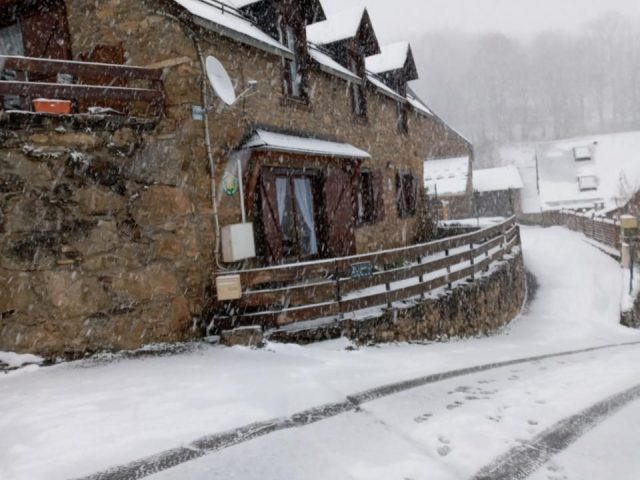 31G101463-ed84eee013c241cb80aba2e1d01d481f