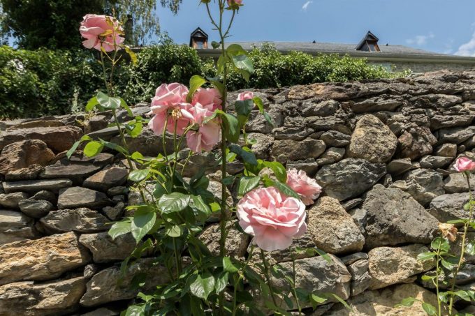 31G101464-7167d828c79e439d89114aa2ad4ca444