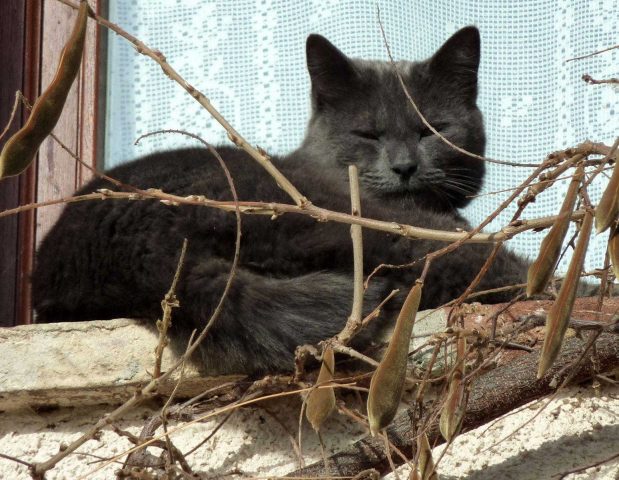 31G101478-3d1bfd0bb55b48bb828731d3935d1e62