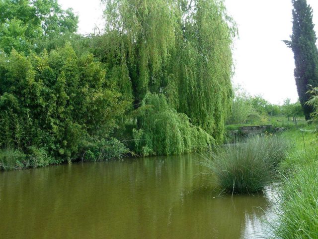 31G101478-437189a76f69458e93cdb6fe97c2c254