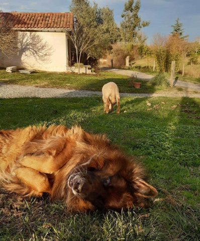 31G101478-4b146f9ccfb94135b48e4c3b2651fd12