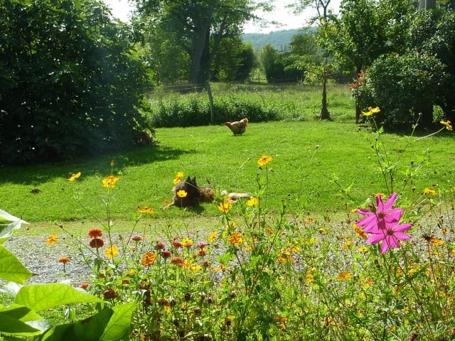 31G101478-4cec10e88fa84948b514ad637f5b28d8