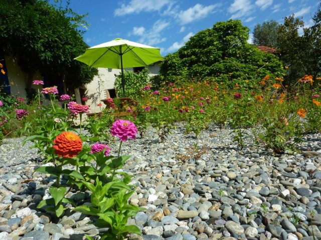 31G101478-4d111ebc163d427eaca12f1904f4310e