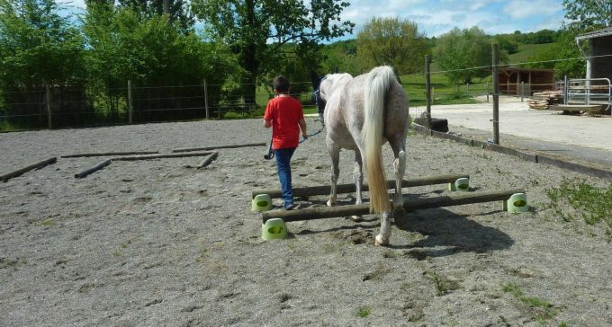 31G101478-5f00f2da9c5c4c289a705af649771e54