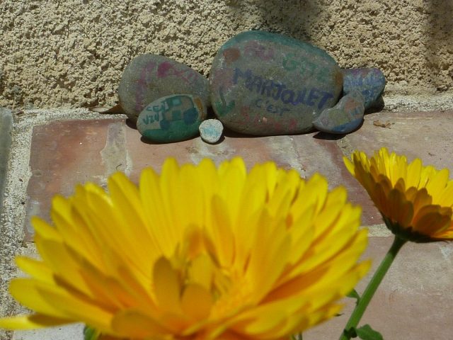 31G101478-5fb5360a265a4102a41a0f438bf9c24b