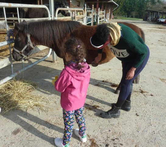 31G101478-655f366109c242beb220dc78dccd890b