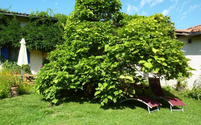 31G101478-69b8b22e885640769da34344bd90731f