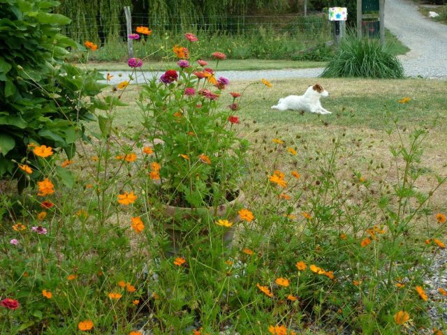 31G101478-84b7ac99daee47afb7128c582098d8fc