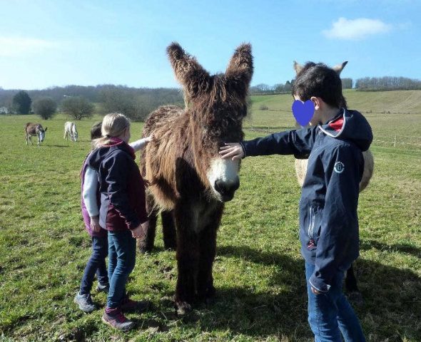 31G101478-84e4560dff3e4c219c22771bdf608dc8