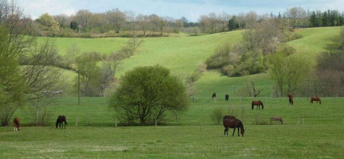 31G101478-8cf0b264c1dc42afbc83ef1474073f84