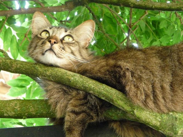 31G101478-a86f511fb7ff4673bdbf1e55db05f10c