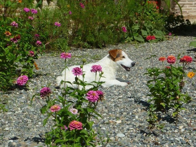 31G101478-b117ae9d93a0466081bd9504e13ffba6