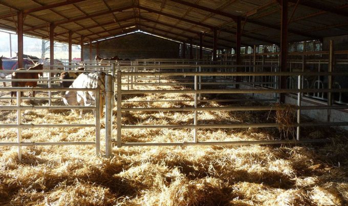 31G101478-b97708724b6a4ea3bd3ee91085d0cc8a