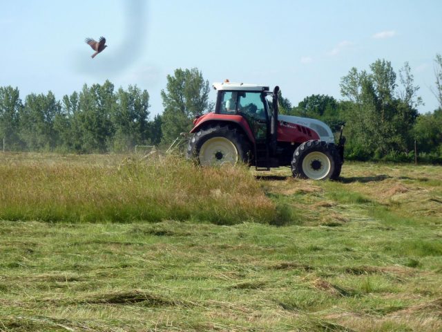 31G101478-c7251d39843c4de28e557be31d04f672