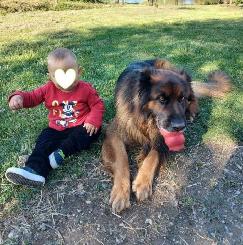 31G101478-cf75570d9d614f509cb33dce09da5308