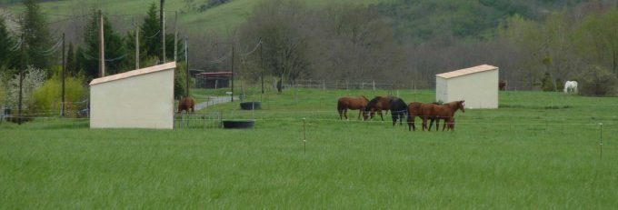 31G101478-d83bb7b0c445444192540d00601f4a5b