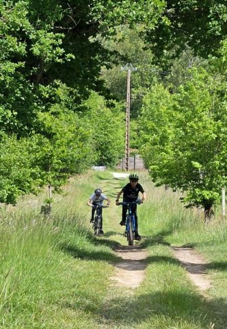 31G101478-e1827e10c40c42089f1218f704b61903