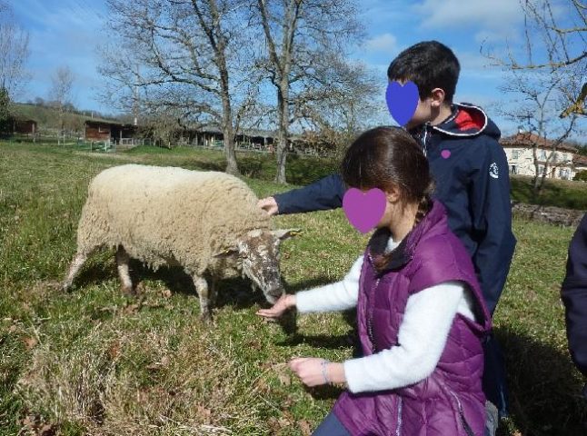 31G101478-ed46f313c52e457ba7e3b07d9ab62e58