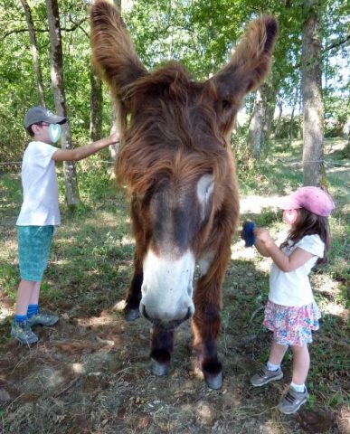 31G101478-edf0698baac249aca75f8d37829736fd