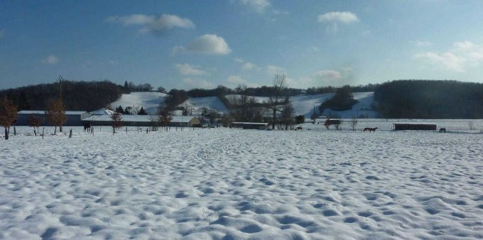 31G101478-fd7e31f115fb4d00a0e4d7a6fd30eac4