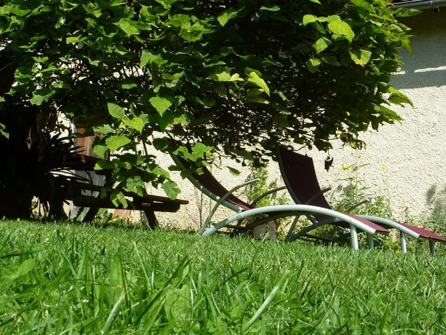 31G101478-fe2833ac587d456dbda3100b6433e5fe