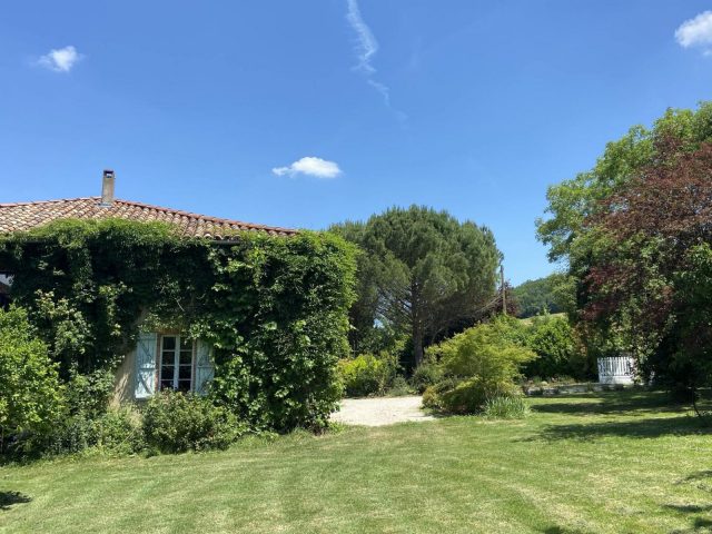 31G101480-24477c430d6344d2b6db0ba7b31e09ae