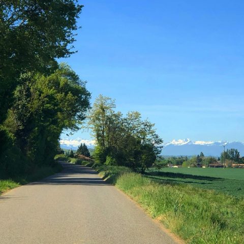 31G101480-419cd6c71620438992c22b6d0ba20724