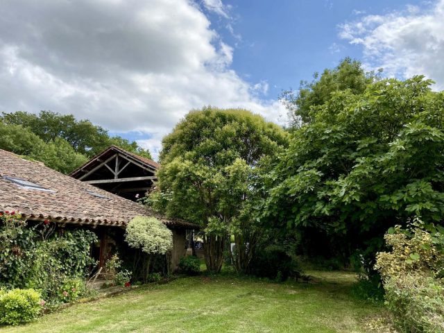 31G101480-62be878aebd24e7393a30eea45391161