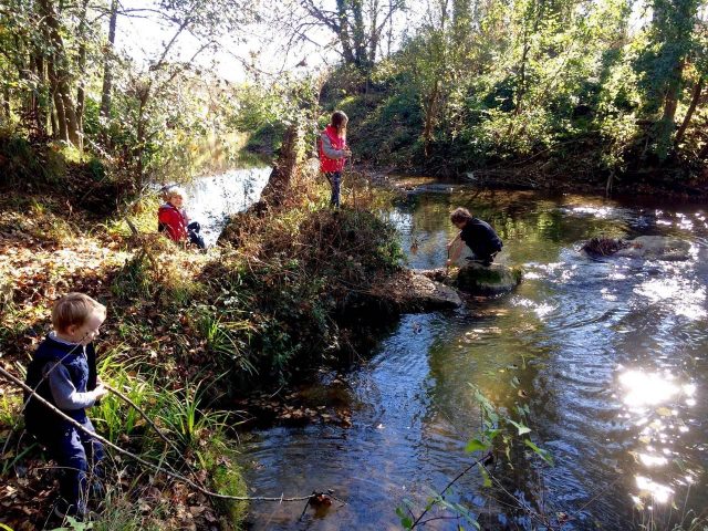 31G101480-a2b763052442459caa8d101900ddb875