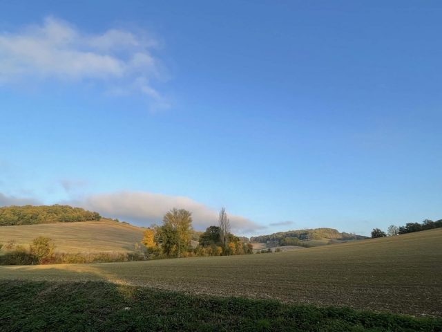 31G101480-c2b381b70dbf45b1952d57e0ed9e9b06