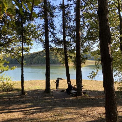 31G101480-e1781865c0f34415ad41fb3d945b2248