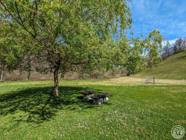 31G101491-69bc7935065d46d4a58dd5566cfbcad8