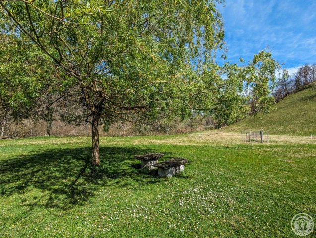 31G101491-cf8e49d559f8439abe80af9cd5e3532e